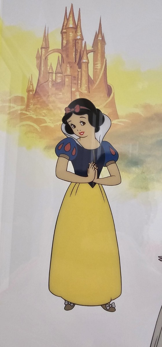 [美品]ディズニー　プリンセス　セル画　Parade of Princess Rare Limited Edition Disney's Parade Of Princesses LE