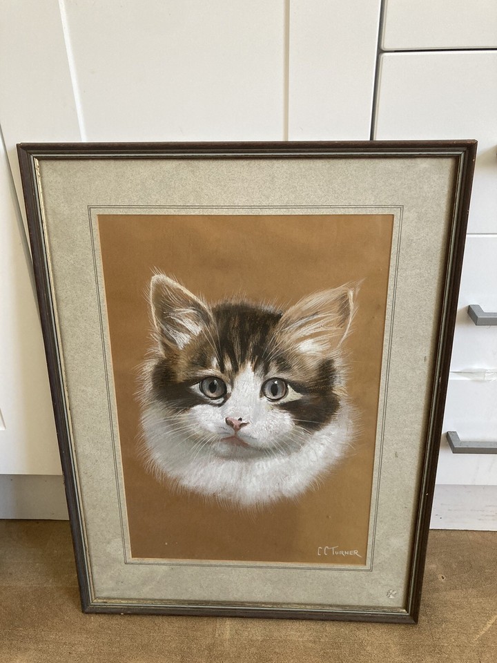 Paintings Canvas Frames Job Lot Animal Cheetah Horse Rhino Stag Cat eBay