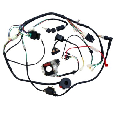 Stator Wiring Harness Loom For 50cc 70cc 90cc 110cc 125cc Quad Atv Taotao Kazuma Ebay