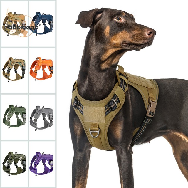 Rabbitgoo No-Pull Dog Harness