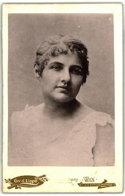 Cabinet Card Circa 1890s G.v.d. Lippe Gorgeous Lady In Dress Vienna Austria