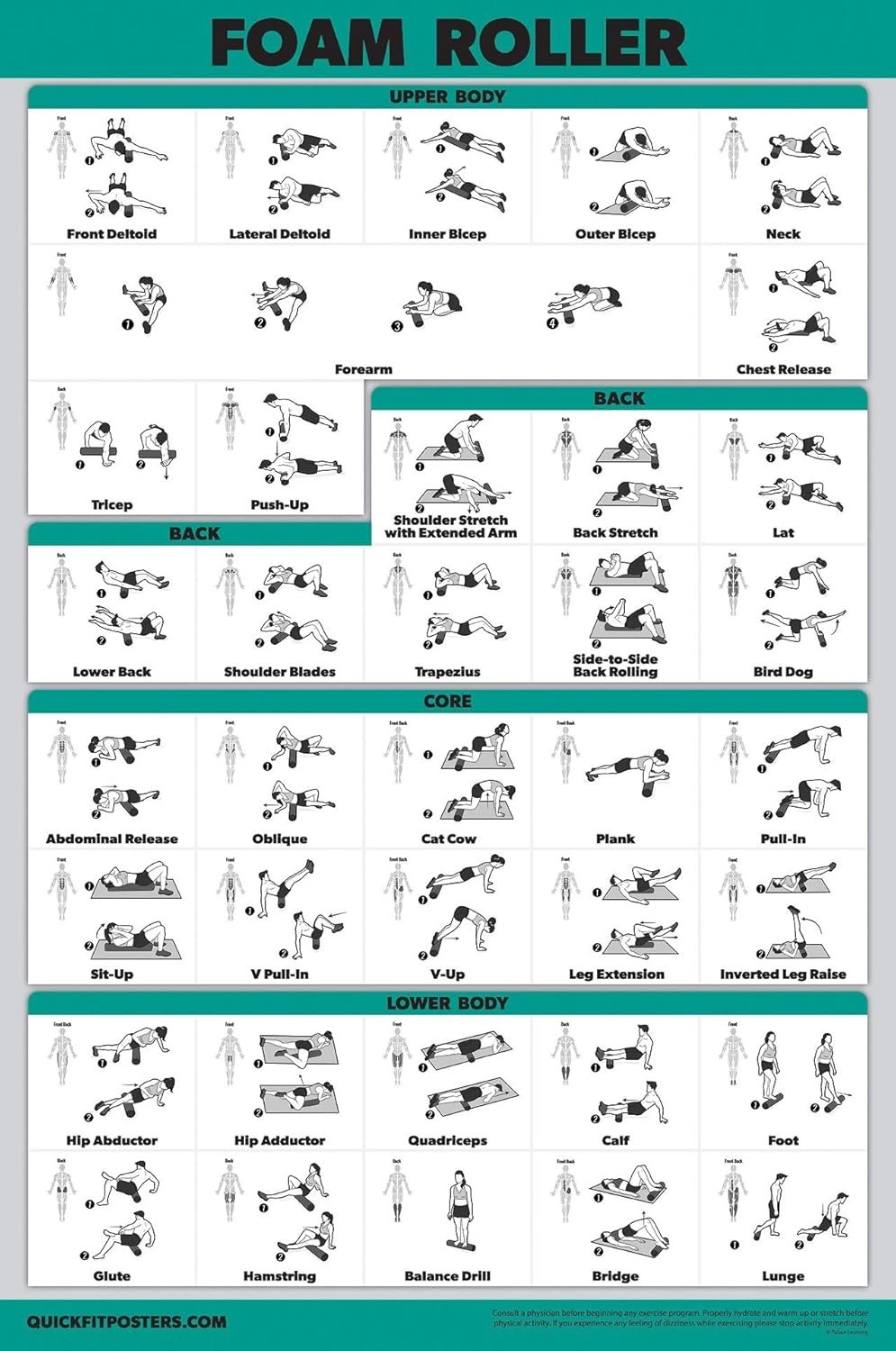 Foam Roller Exercise Poster Laminated 18x24