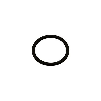 Paccar 2115851 O Ring   48 X 5