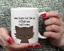 Funny Cat Coffee Mug 11oz Ceramic Mug Novelty Gift