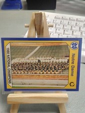 1990 Collegiate Collection Notre Dame Irish (1988) National Champions Football