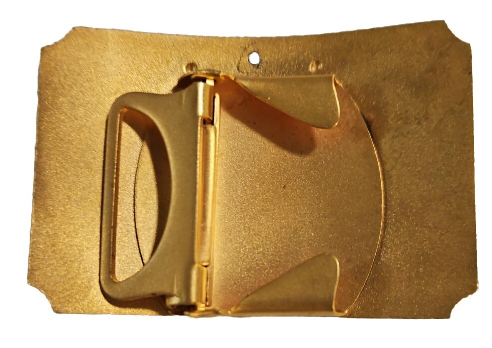 Rare Spokane Daily Chronicle Belt Buckle Merit Award… Gem