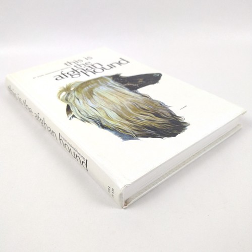This Is The Afghan Hound - Joan McDonald Brearley - 1965 Very Good Copy - Picture 3 of 12
