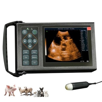 Portable Vet Ultrasound Pregnancy Scanner for Pig Dog, Metal Body Easy Operation