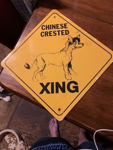 Chinese crested dog Xing yellow aluminum sign 12 x 12