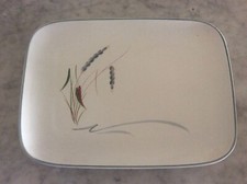 Denby Pottery Colledge Stoneware Greenwheat Pattern Oblong Serving Platter