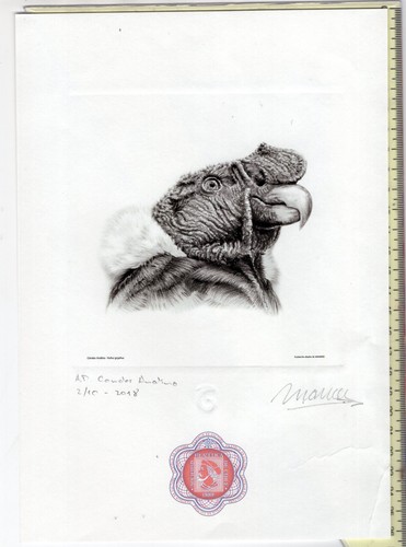 CHILE 2018 EXFIL Condor FDC scarce large size artist proof and small one signed