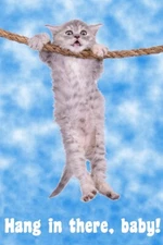Hang In There Baby! Cat Retro Motivational Poster 12x18