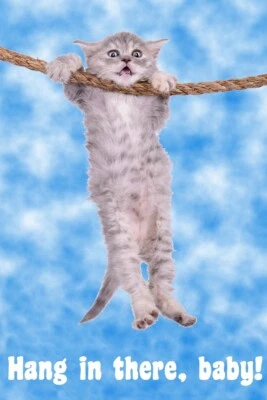 DECOR LOGISTICS Hang In There Baby! Cat Retro Motivational Poster 12x18