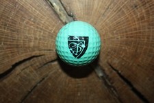 VINTAGE SOLID AQUA PING EYE GOLF BALL