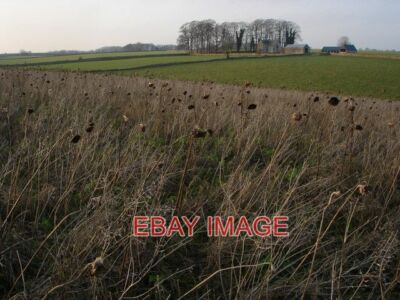 PHOTO  SLAIT BARN LEIGHTERTON SLAIT BARN VIEWED FROM A FIELD OF DEAD SUNFLOWERS