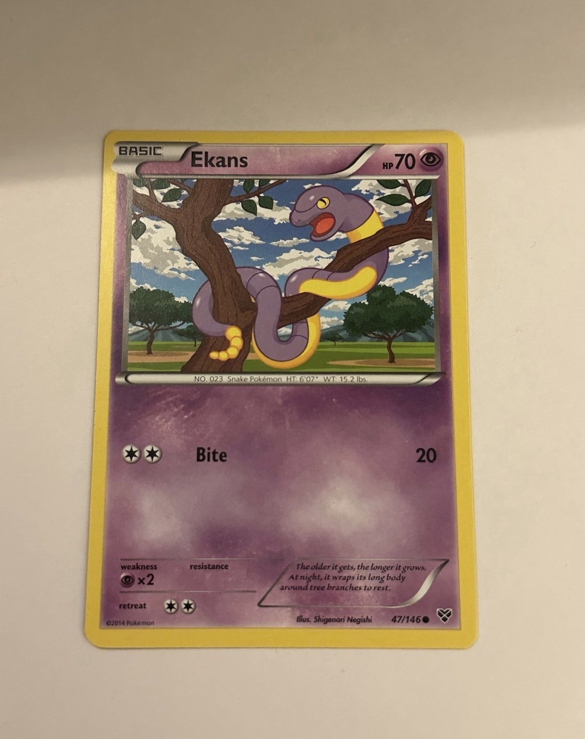 Pokemon Trading Card - XY: Ekans 47/146