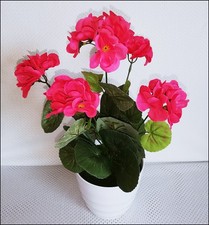 Künstliche Geranien  wie echt  himbeere - pinkfarbe  im Topf (weiß)  Kunstblumen