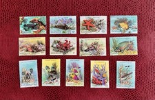 TIMBRE STAMP 13 ILE BARBUDA Y&T#893-905 POISSON CORAIL NEUF**/MNH-MINT 1987