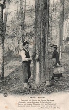 CARTE POSTALE - LANDES - 40 -  RESINIER