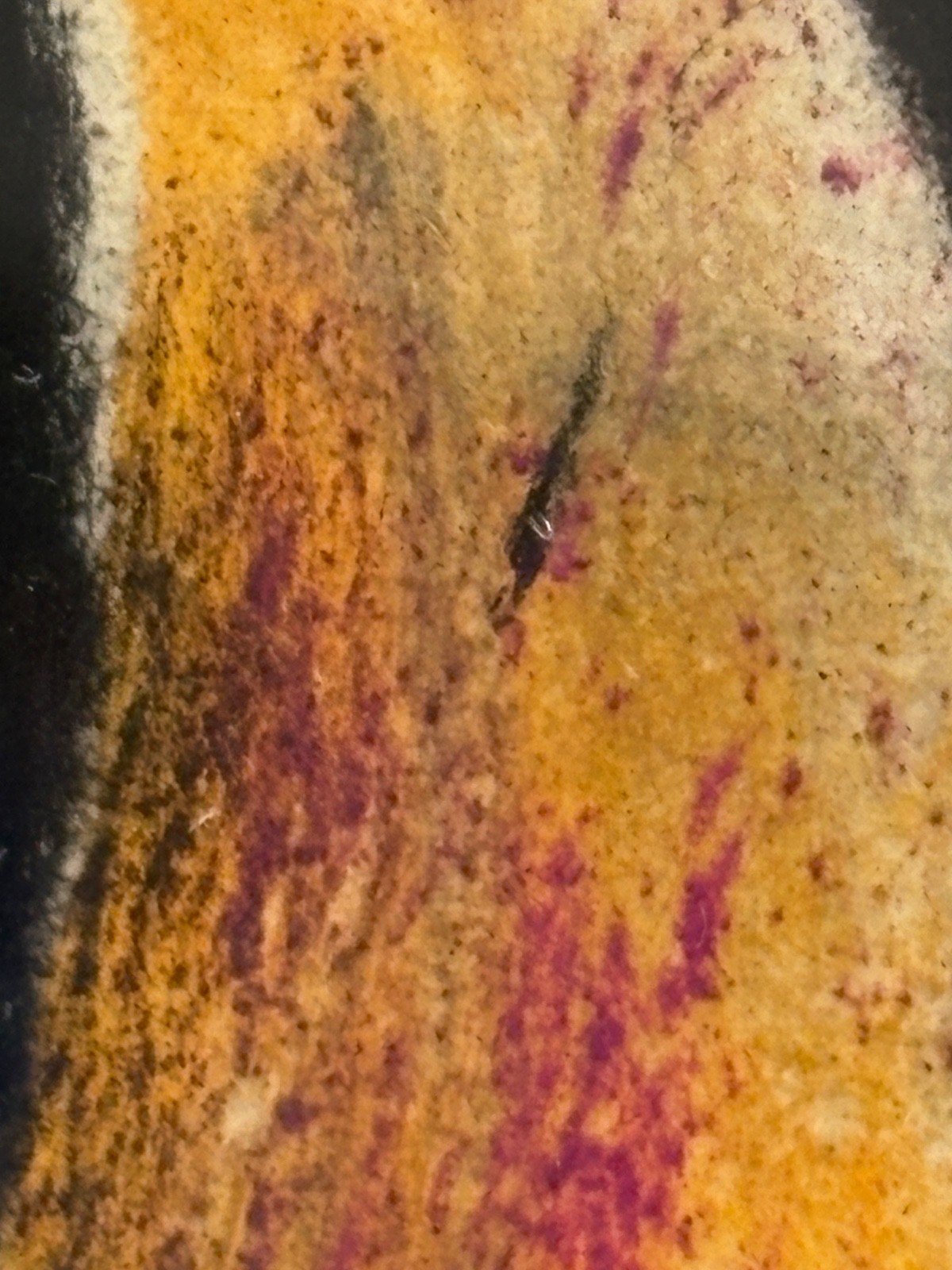 Picture 6 of 18