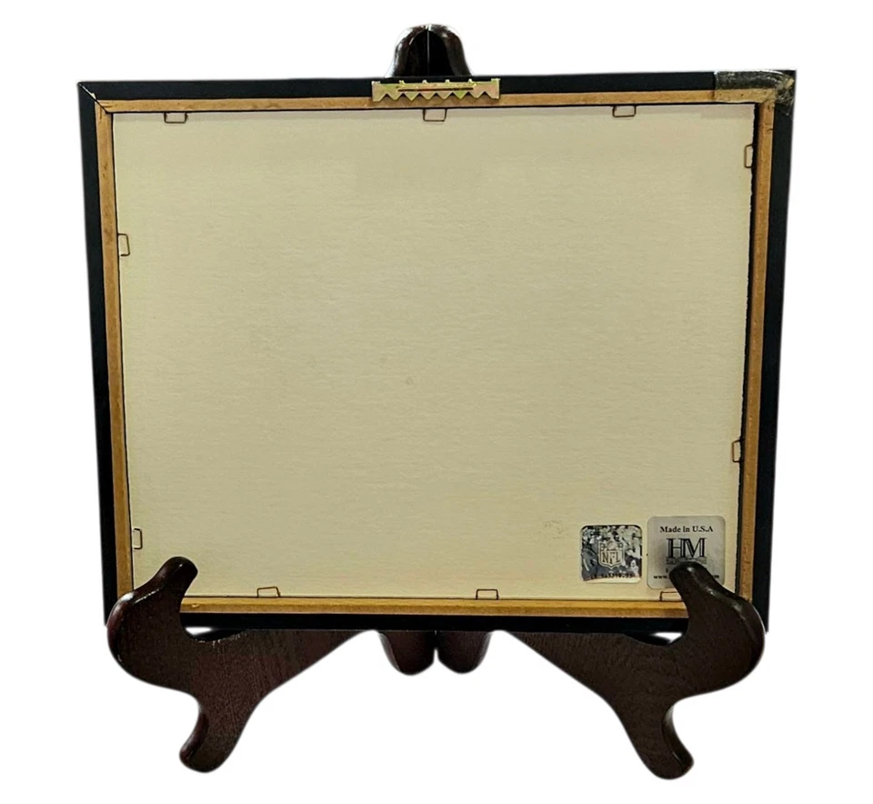 Boletos y monedas enmarcados campeón del Super Bowl de los Dallas Cowboys edición limitada NFL Foto 2 de 4