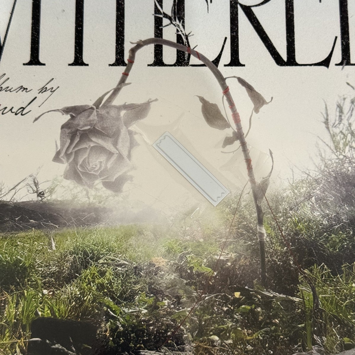 d4vd WITHERED Signed Insert Vinyl LP Cloudy White SEALED NEW | eBay