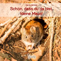 SchöN, Dass Du Da Bist, Kleine Maus! | Carola Vahldiek | Deutsch | Buch | 24 S.