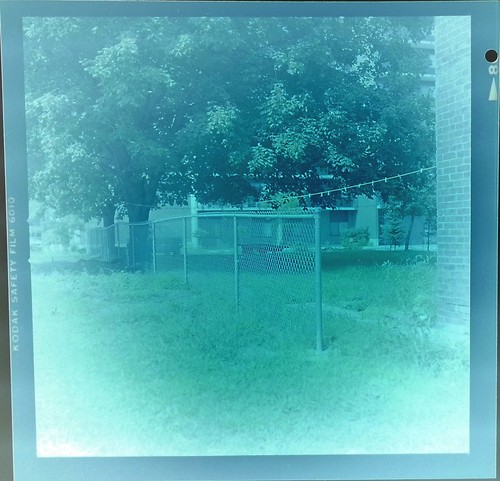 Vintage Found Photo Negative Faded Backyard Memories Under the Summer Sun