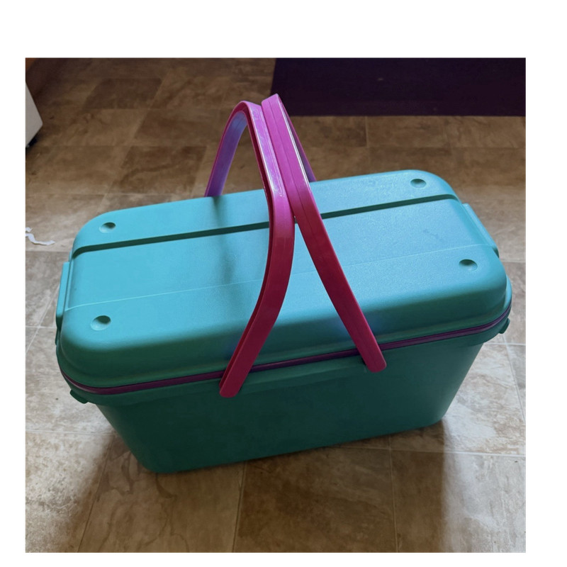 Eagle CraftStor Sewing Basket Turquoise Pink Purple Plastic Storage Organizer