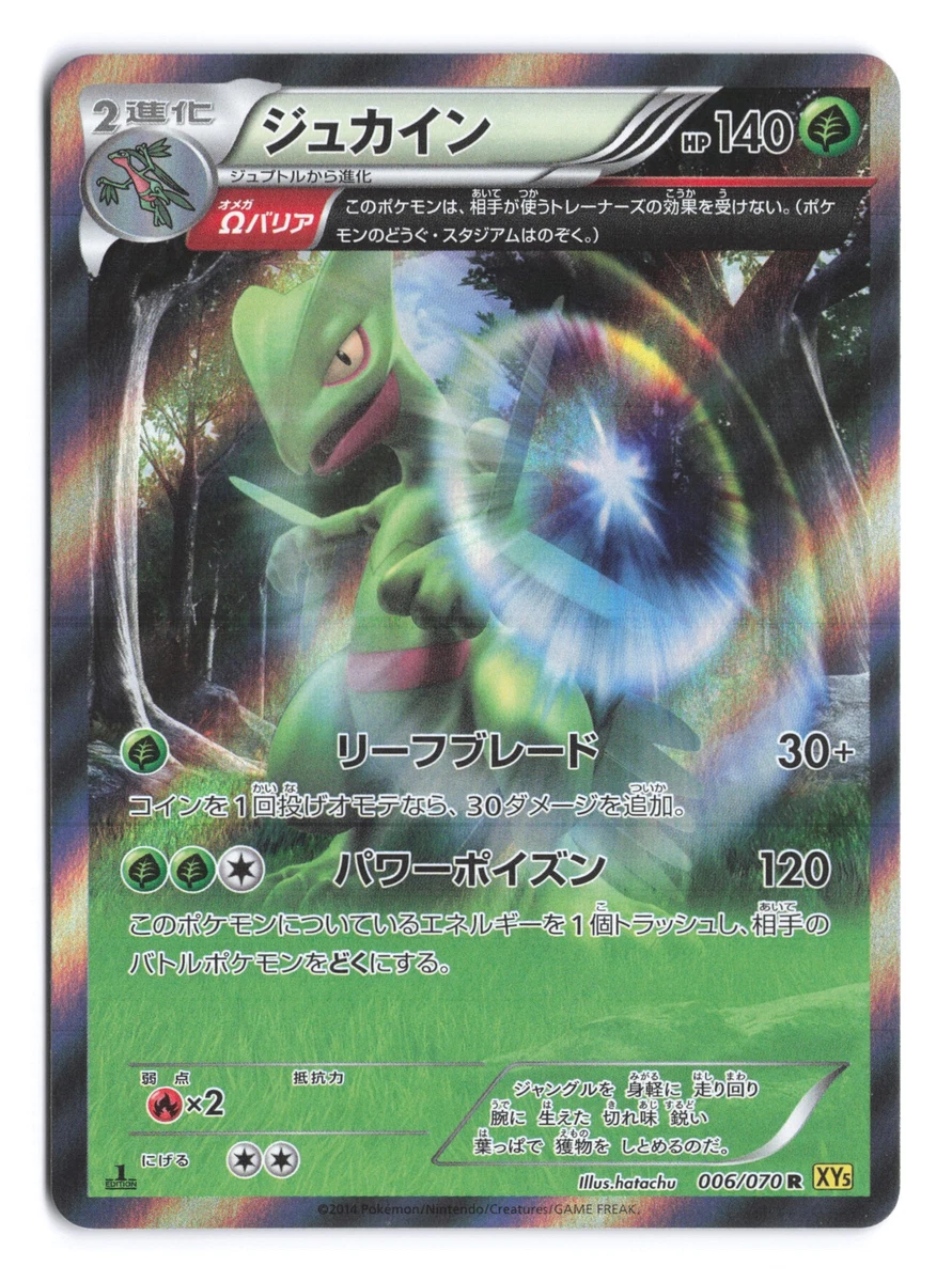 Pokémon TCG Rare XY Japanese Individual Collectible Card Game