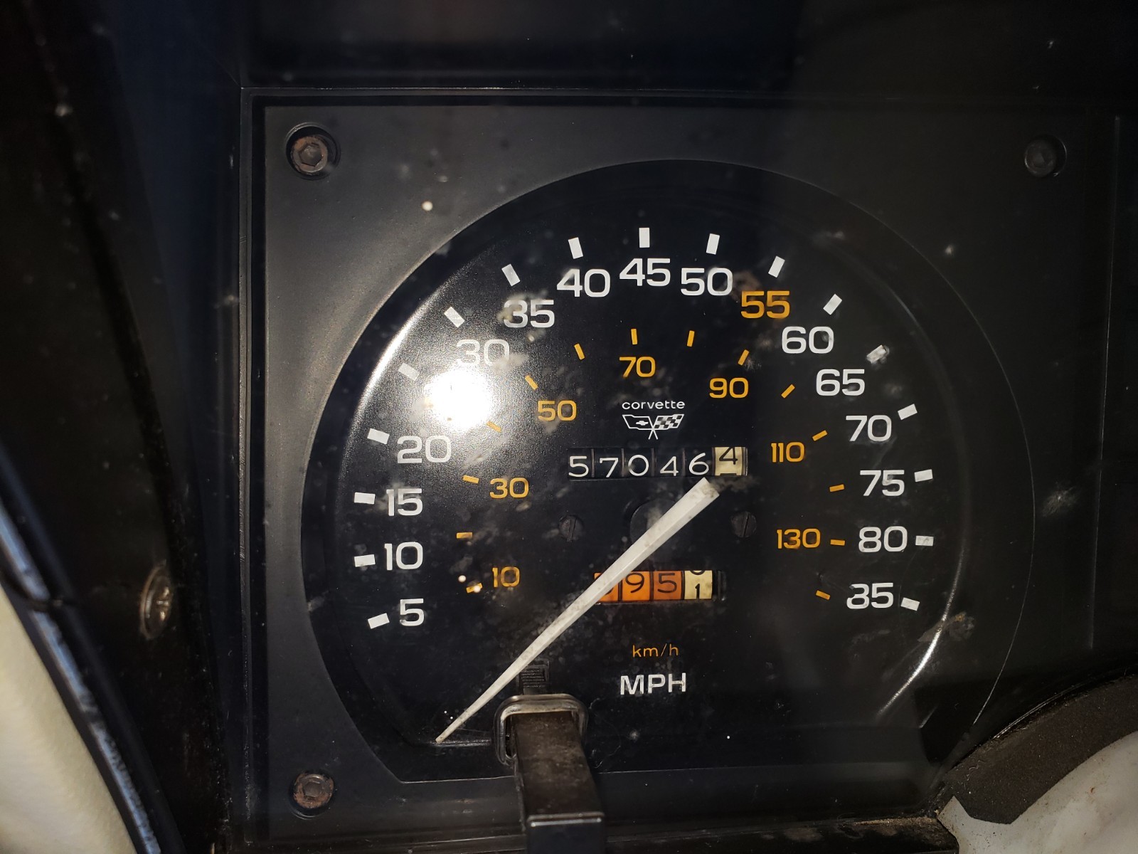 1982 Grey Chevrolet Corvette   | C3 Corvette Photo 4