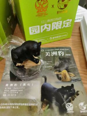 Animal Planet Hongshan Forest Zoo Animal Heavenly Body Melanistic