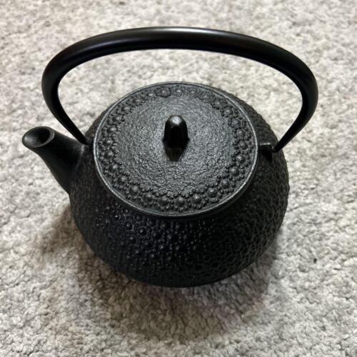 Sencha tea ceremony utensils Teapot Iron Kettle, Rock Casting, Nanbuturtle Shell - Picture 1 of 10