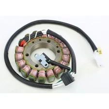 Ricks Stator 21-311H