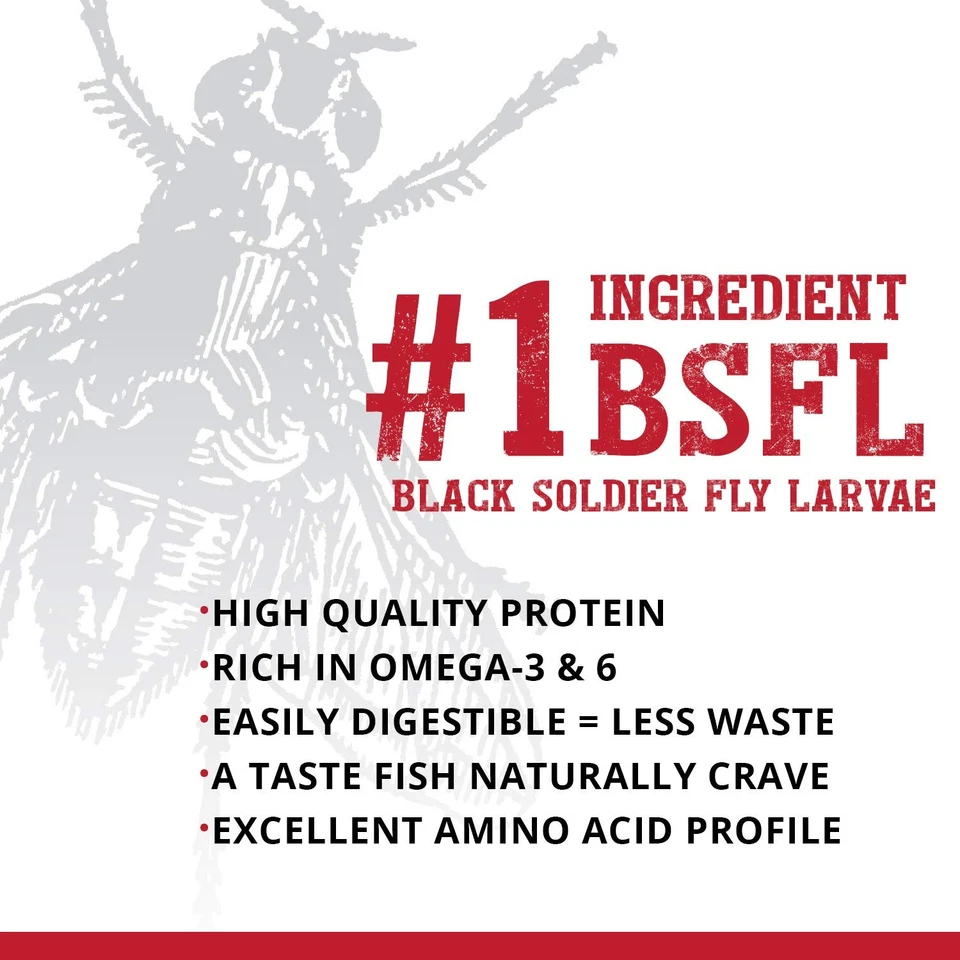 Comida para peces cíclidos picaduras de insectos, pellets para peces de tamaño mediano a grande, 3,53 oz... Foto 4 de 4