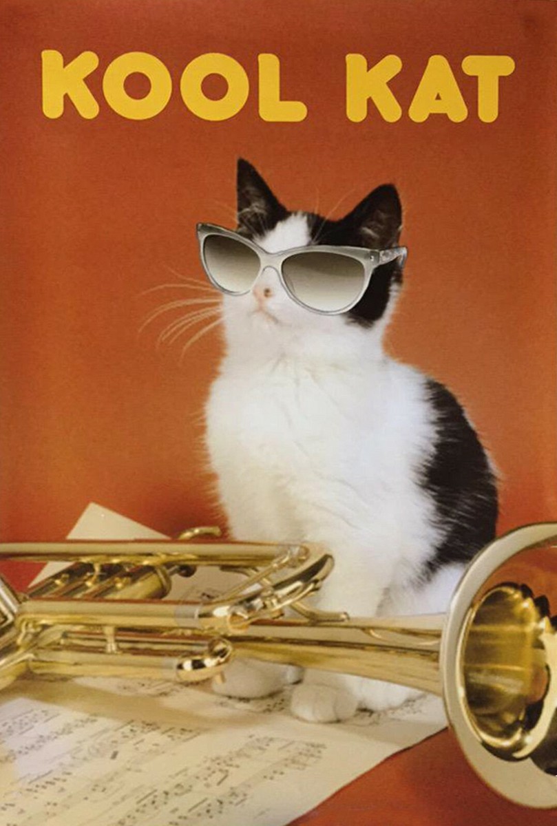 Large 24” x 18” Glossy Kool Kat Poster | eBay