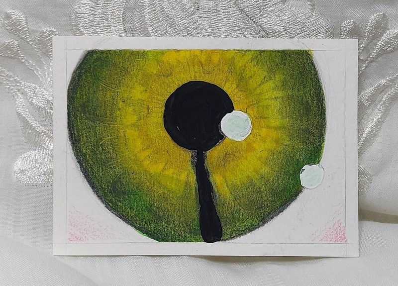 ACEO Original Miniature Art Watercolor AcrylicPainting Human Eye Scar Iris Hazel
