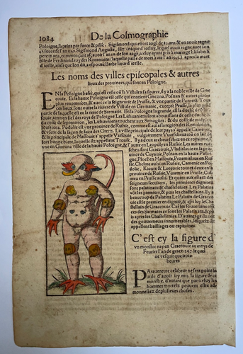 MONSTER IN KRAKOW POLAND 1568 SEBASTIAN MUNSTER UNUSUAL ANTIQUE VIEW - Picture 2 of 3
