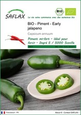 SAFLAX  - BIO - Piment  - Early jalapeno - 20 graines - Capsicum
