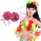Hawaiian Bra Costume Skirt Costume Accessory Hawaiian Luau Costume