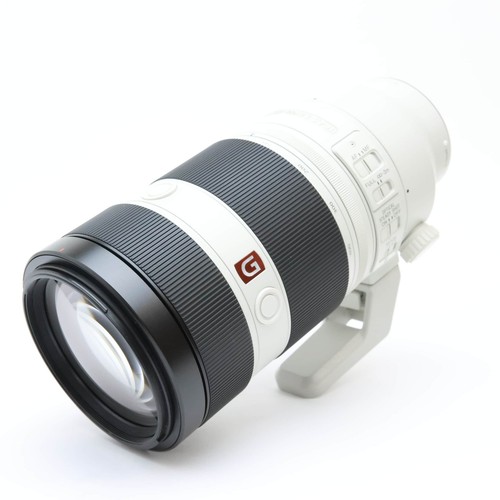 SONY FE 100-400mm F/4.5-5.6 GM OSS SEL100400GM (SONY E mount) #337