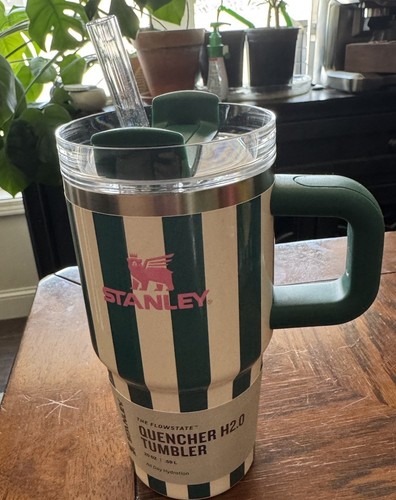 NEW Stanley 20 oz Oasis Emerald Cabana Green Stripe Gloss Quencher H2.0 Tumbler