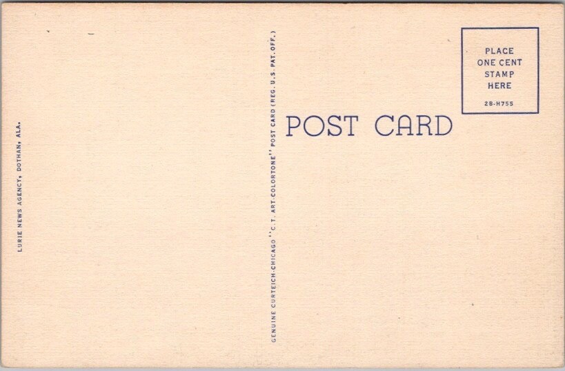 1942 DOTHAN Alabama Large Letter Postcard Cotton Field Scene / Curteich Linen eBay
