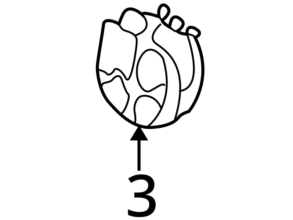 CHRYSLER МЕДАЛЬОН ШИЛЬДИК KS76SZ1 НОВЫЙ OEM KS76SZ1 - Изображение 3 из 3