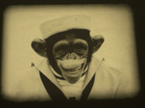 PERILS OF THE WILD / ZIPPY THE CHIMP - 2 x 200FT B/W - STANDARD 8MM FILM -CASTLE - Bild 20 von 24