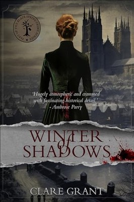 Winter of Shadows - VERY GOOD