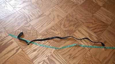 Purse Strap