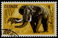 GUINEA REPUBLIC 344 - African Wildlife 