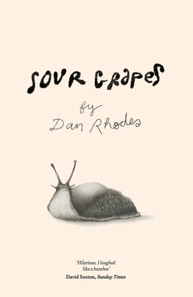 Sour Grapes by Dan Rhodes PAPERBACK 9781785633058 - Image 4