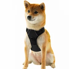 Pet Dog Harness Adjustable Nylon Mesh Vest with Leash Clips Black Small